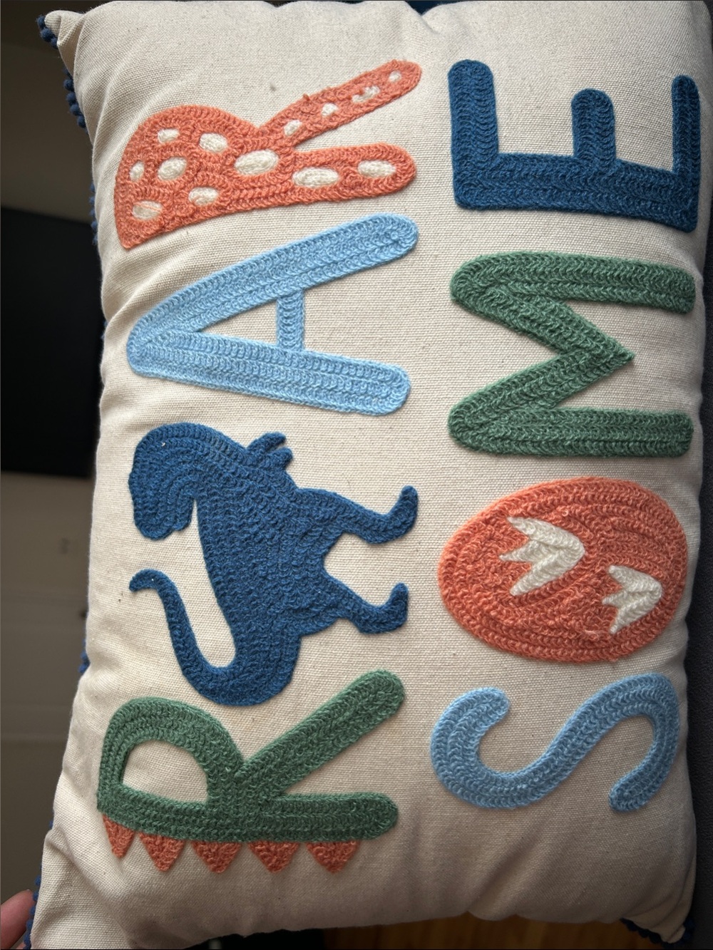 Dinosaur Accent Pillow with Multicolor Appliqué